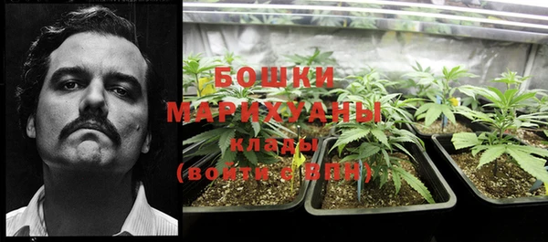 стафф Аркадак