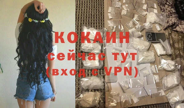 стафф Аркадак