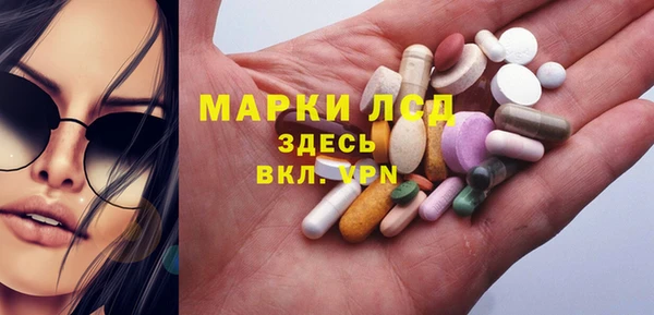 стафф Аркадак